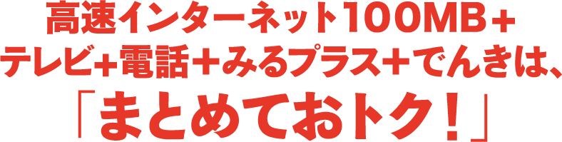 高速インターネット100MB+テレビ+電話+みるプラス+でんきは、「まとめておトク!」