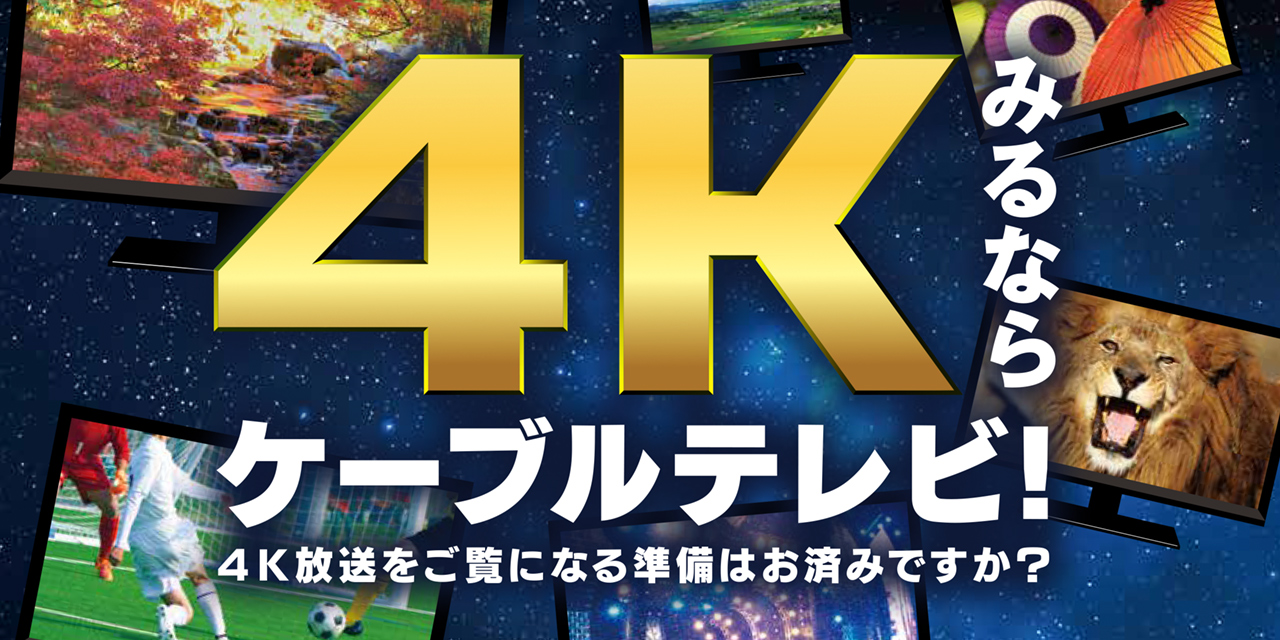 最先端の4つの映像技術により、今まで実現できなかった色彩豊かでなめらかな表現が可能に!
